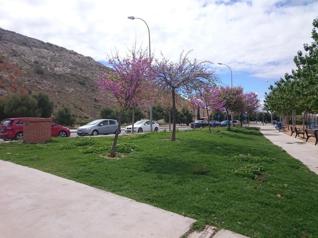 Mar Y Castillo By Gloove Alicante Exterior photo